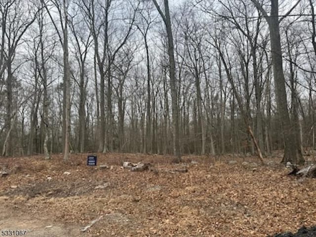 9 Black Bear Dr, Montague Twp NJ, 07827 land for sale