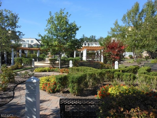 view of home's community featuring a pergola