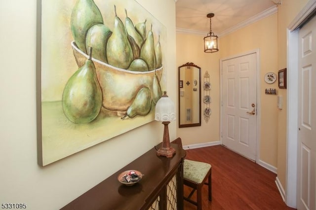 foyer entrance featuring dark hardwood / wood-style flooring and crown molding