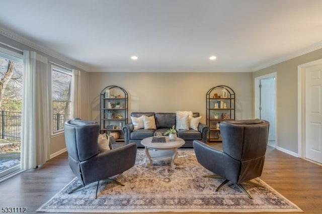 living room with crown molding and dark hardwood / wood-style floors