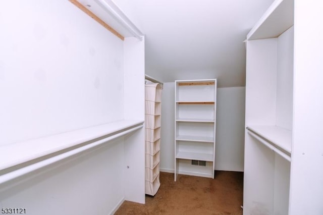 walk in closet with light colored carpet