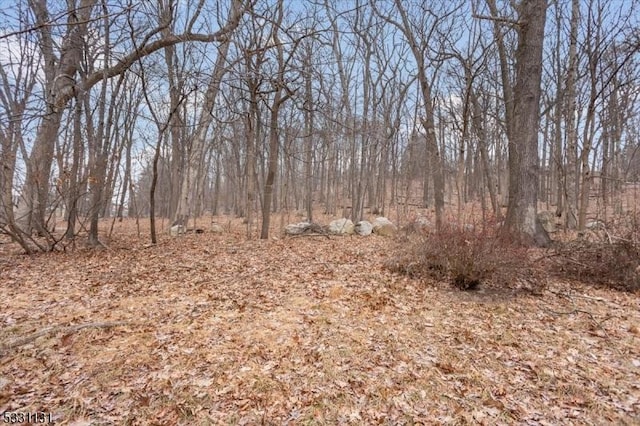 view of local wilderness