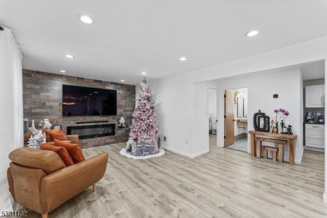 living room featuring a fireplace and light wood-type flooring