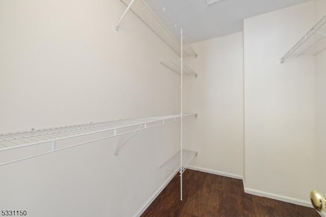 spacious closet featuring dark wood-type flooring