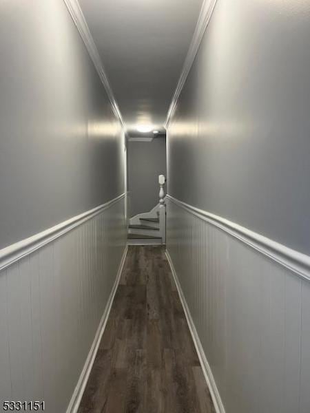 hall featuring dark wood-type flooring and ornamental molding