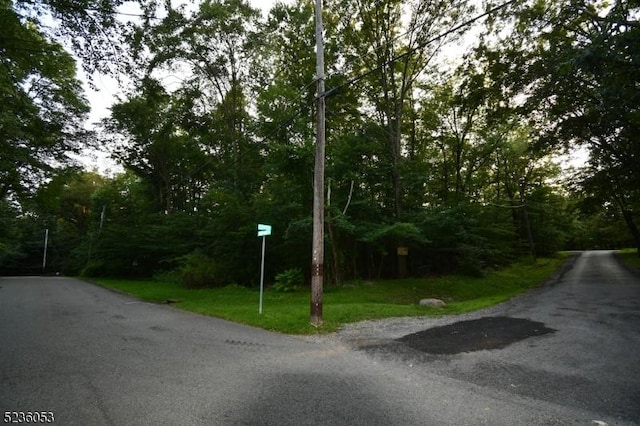 Listing photo 3 for 000 Peppe Ridge Dr, Stillwater Twp NJ 07860