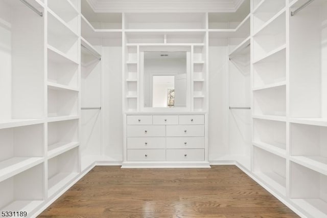 walk in closet with dark wood-style flooring