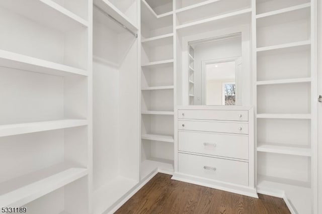 walk in closet with dark wood-style floors