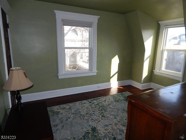 additional living space featuring dark hardwood / wood-style flooring and a wealth of natural light