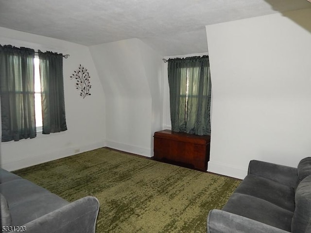 living room featuring a textured ceiling and vaulted ceiling