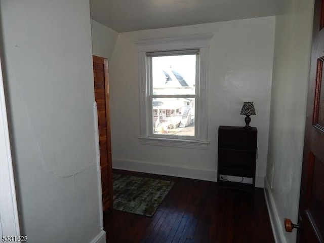 doorway to outside featuring dark wood-type flooring