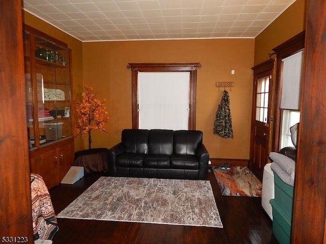 living room with dark wood-type flooring