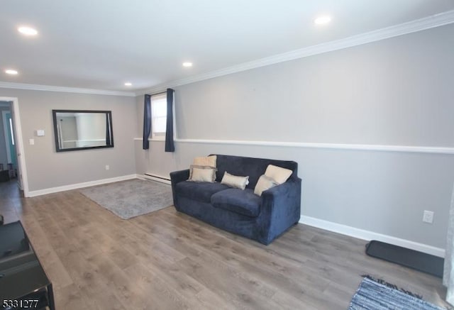 living room with a baseboard radiator, ornamental molding, and wood-type flooring