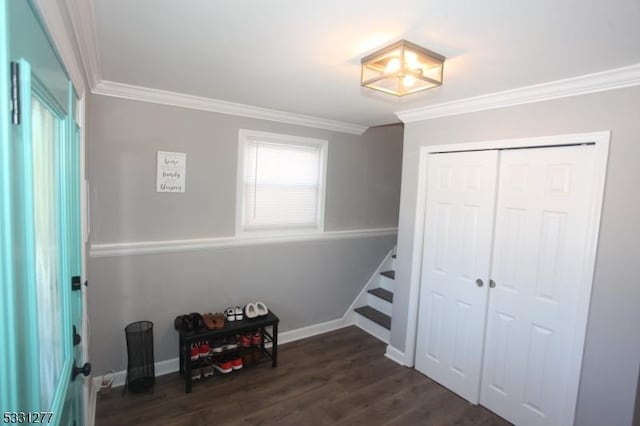 bedroom with ornamental molding, dark hardwood / wood-style floors, and a closet