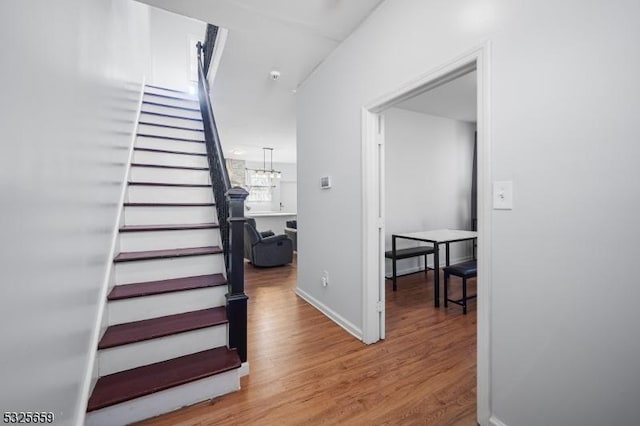 stairway with hardwood / wood-style floors