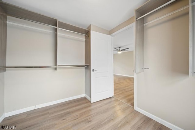 spacious closet with ceiling fan and light hardwood / wood-style flooring