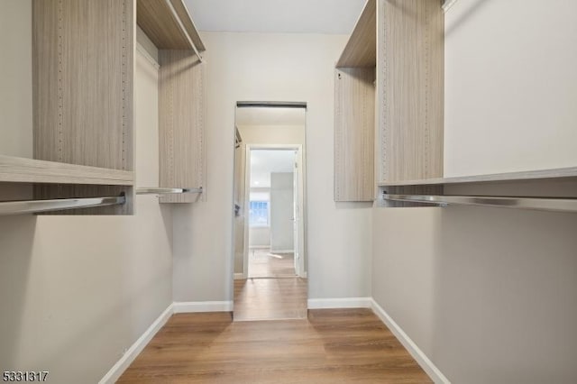 spacious closet with light hardwood / wood-style flooring