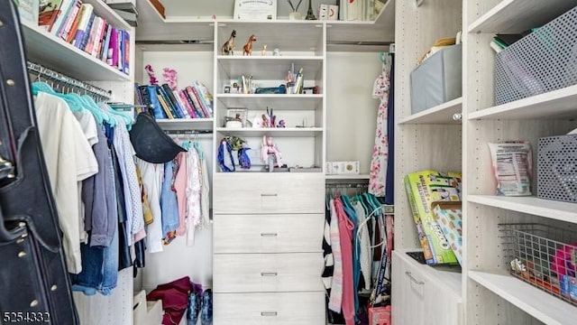 view of spacious closet