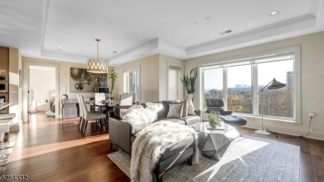 living room featuring dark hardwood / wood-style floors and a raised ceiling