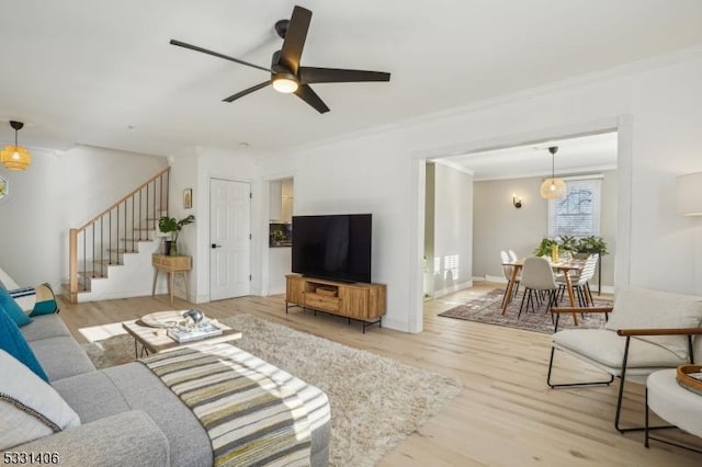 living room with ceiling fan, crown molding, and wood-type flooring