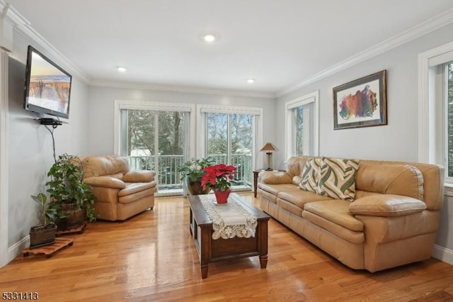 living room with light hardwood / wood-style floors and ornamental molding