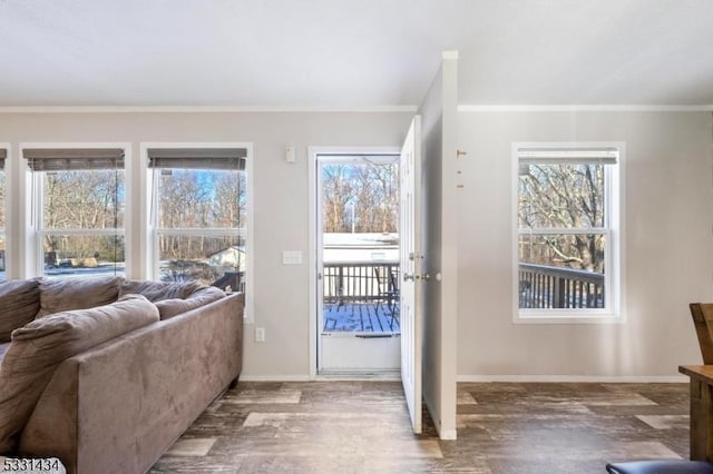 doorway with hardwood / wood-style floors and crown molding