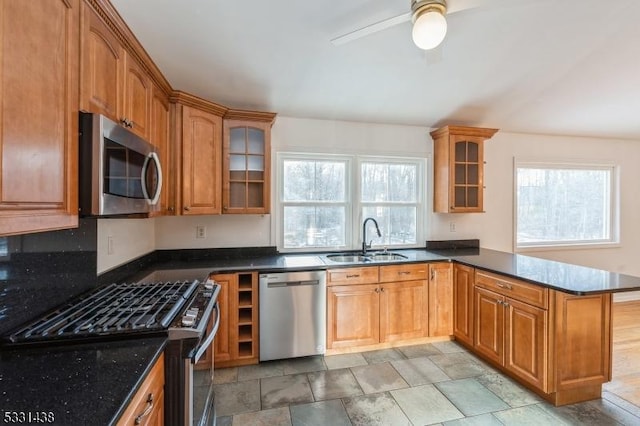 kitchen with kitchen peninsula, stainless steel appliances, a healthy amount of sunlight, and sink