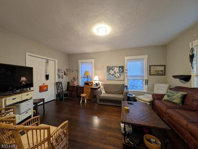 living room with dark hardwood / wood-style flooring and a textured ceiling