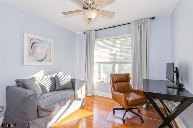 office with ceiling fan and light hardwood / wood-style flooring