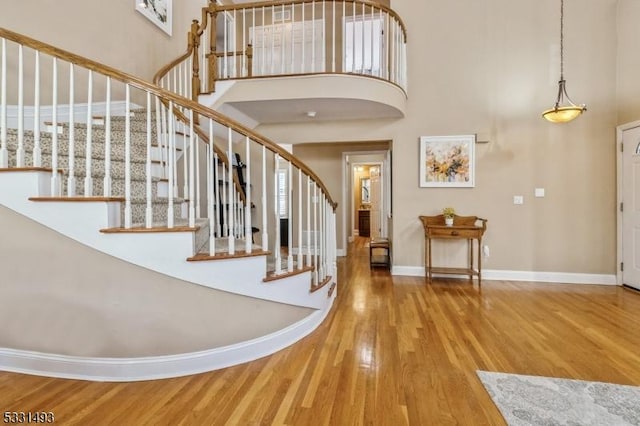 foyer featuring a high ceiling and hardwood / wood-style flooring