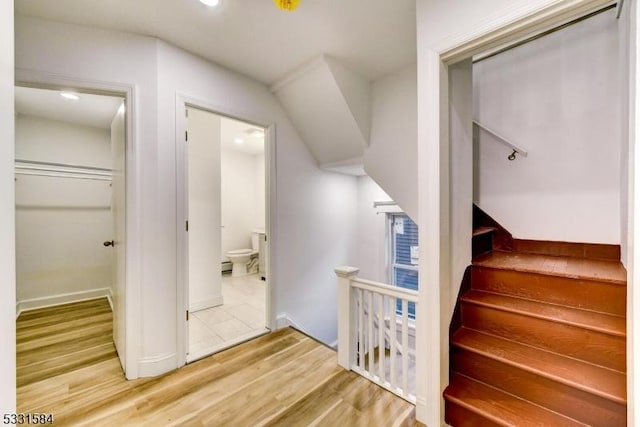 staircase with hardwood / wood-style flooring