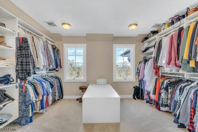 spacious closet with light carpet