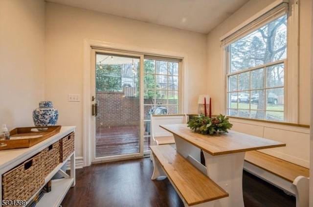 entryway featuring dark wood-type flooring, plenty of natural light, and breakfast area