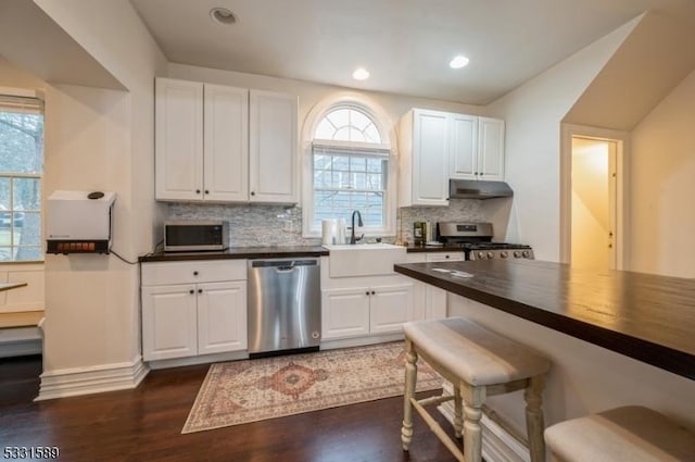 kitchen featuring white cabinetry, plenty of natural light, dark hardwood / wood-style floors, and appliances with stainless steel finishes