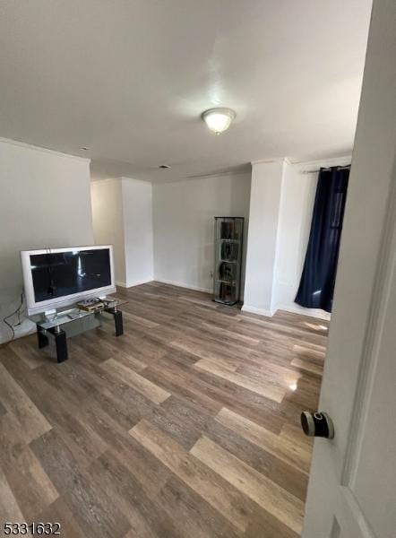 living room featuring hardwood / wood-style flooring