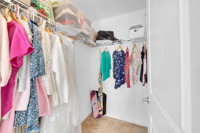 spacious closet with carpet