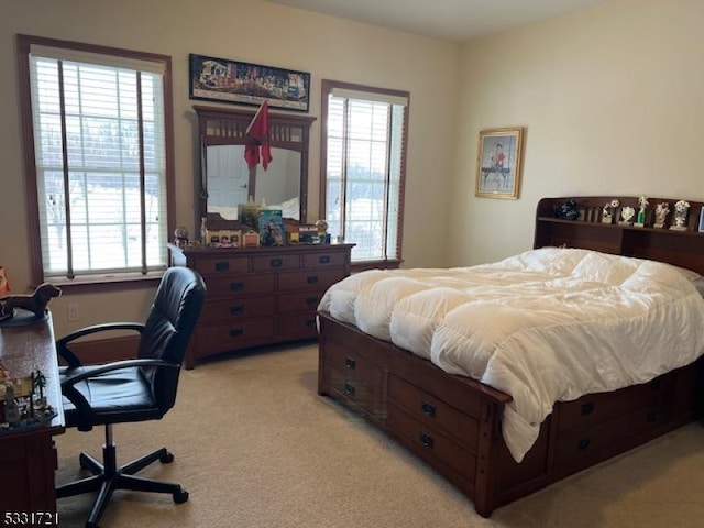 carpeted bedroom with multiple windows