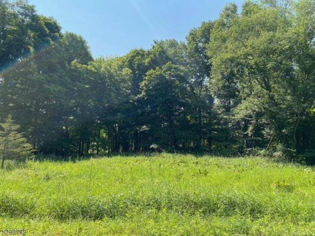 99 Phillips Rd, Frankford Twp NJ, 07826 land for sale