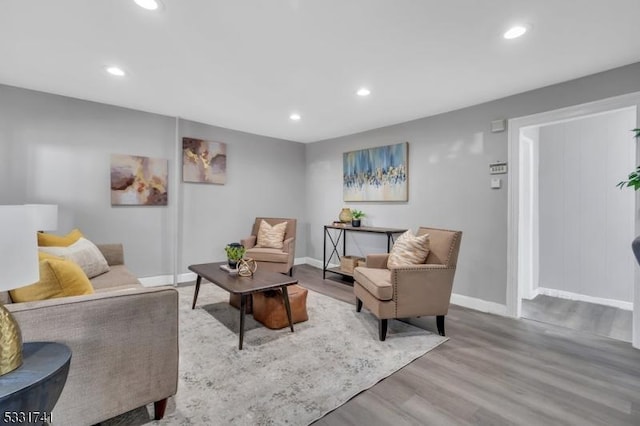 living room featuring light hardwood / wood-style floors