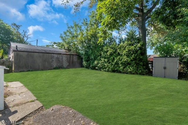 view of yard with a shed