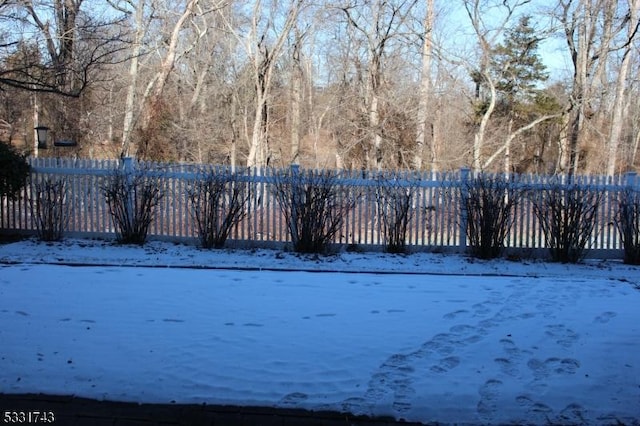 view of snowy yard