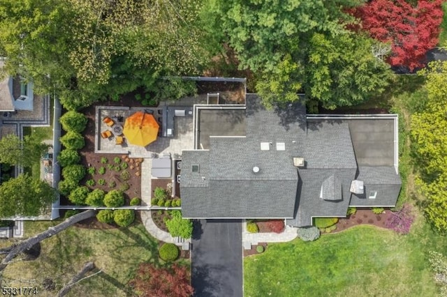 bird's eye view