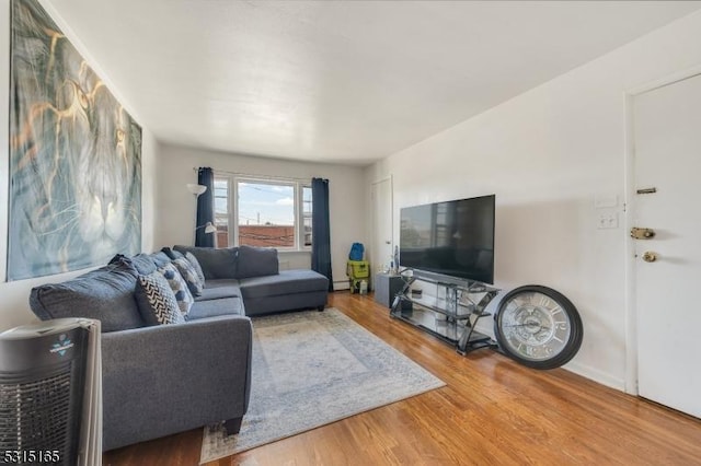 living room featuring hardwood / wood-style floors