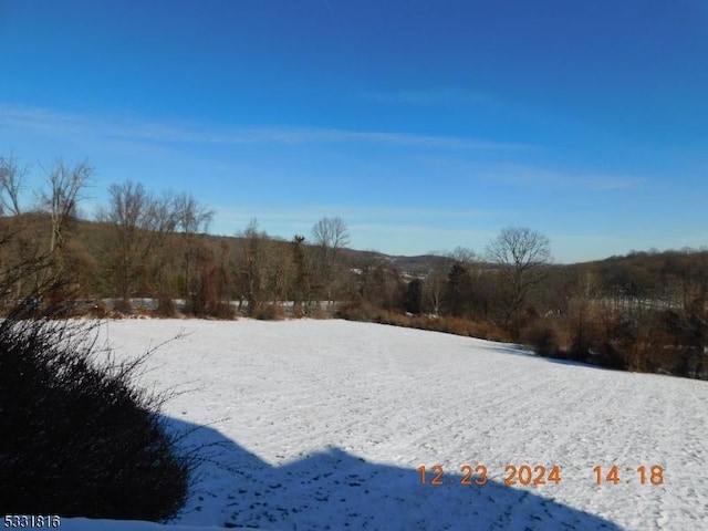 view of yard covered in snow