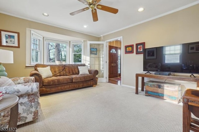 carpeted living room featuring ceiling fan and crown molding