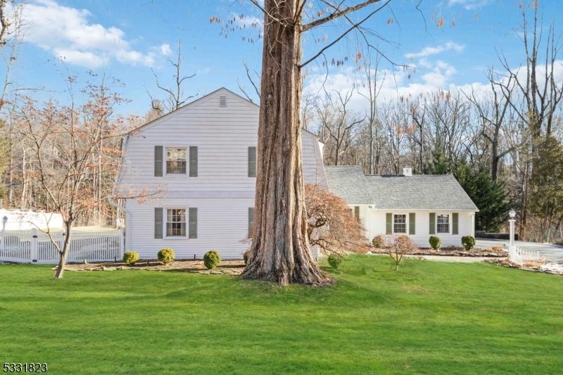 rear view of property with a lawn