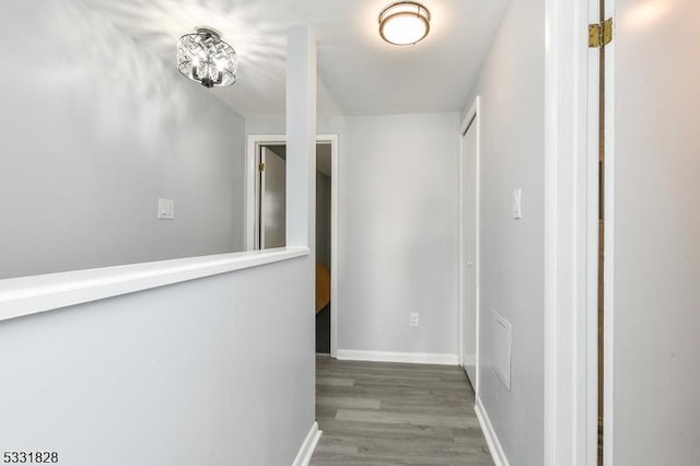 hallway featuring wood-type flooring