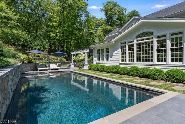 view of swimming pool