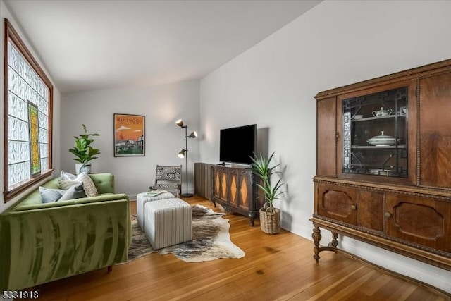 living room with vaulted ceiling and wood-type flooring