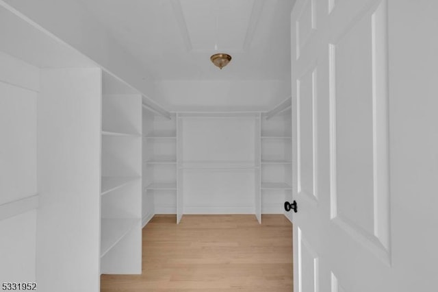 spacious closet with light hardwood / wood-style flooring